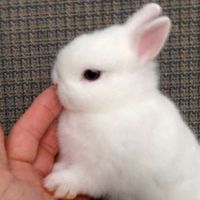 ゆいちゃんとお母さん皆家族自由な部屋なので安心して下さい😊ゆいちゃんおおえんしてます。皆さんへ障害者