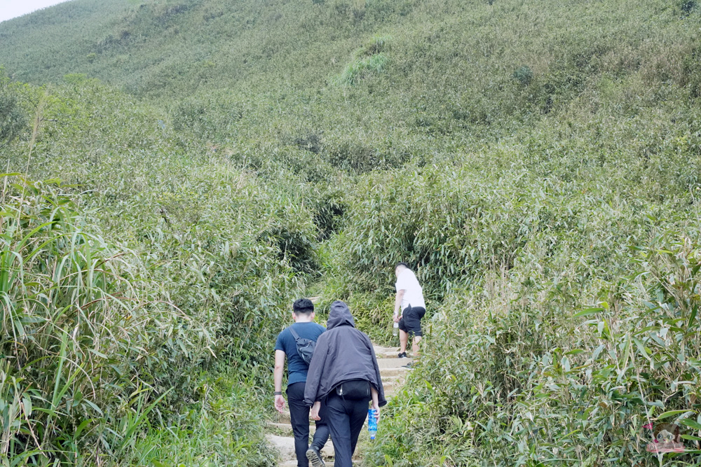 宜蘭.礁溪 臺灣的抹茶冰淇淋山，網美級小百岳仙境，挑戰聖母山莊步道，順收五峰旗瀑布