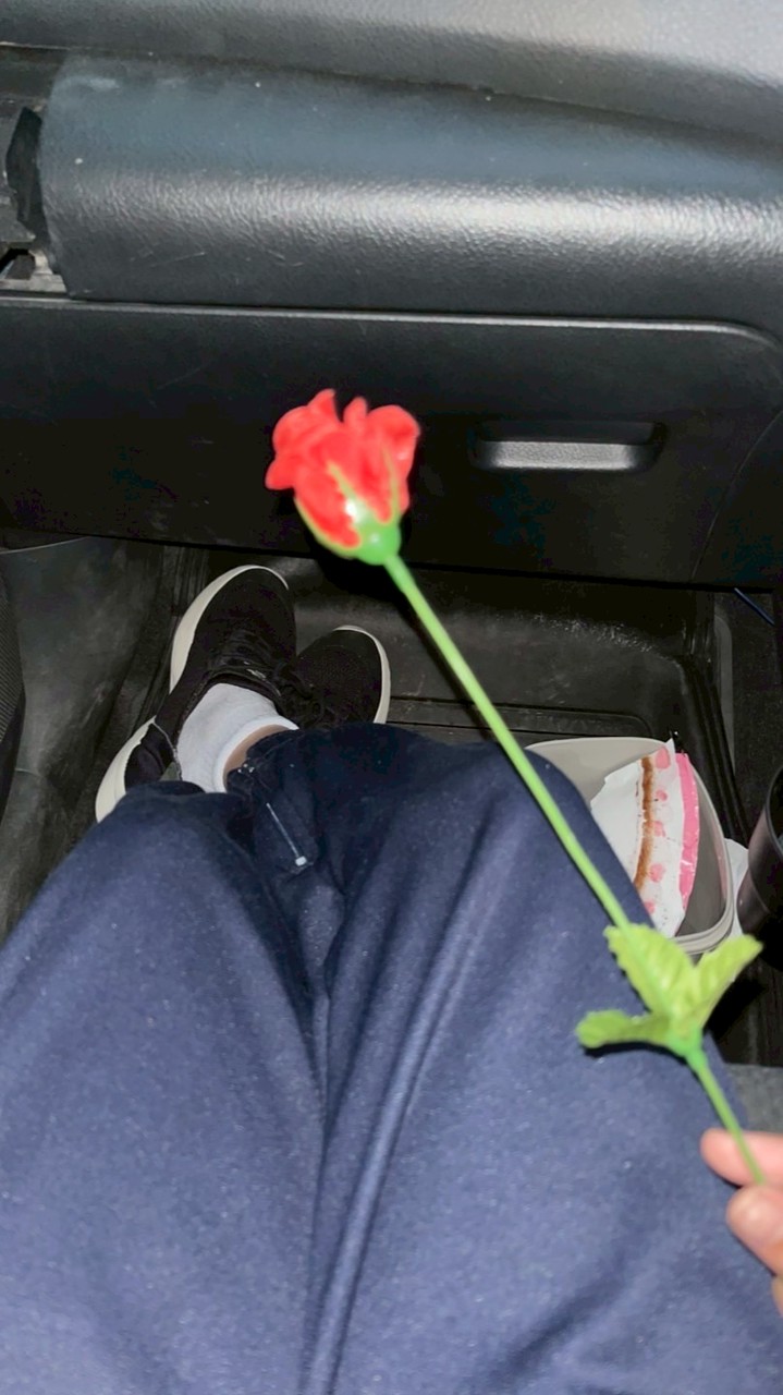 กลุ่ม ★ ปลูกดอกไม้ ต้นไม้ 🌱🌷