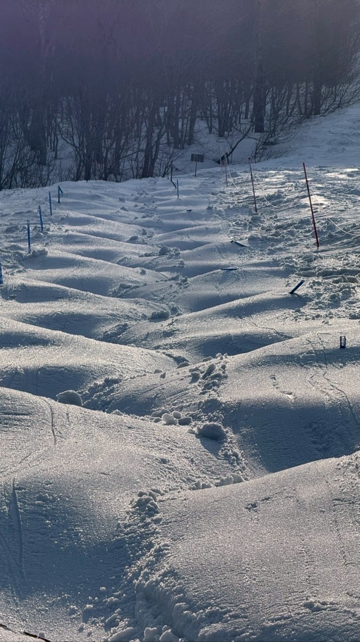 第5回コラボ春コブキャンプ