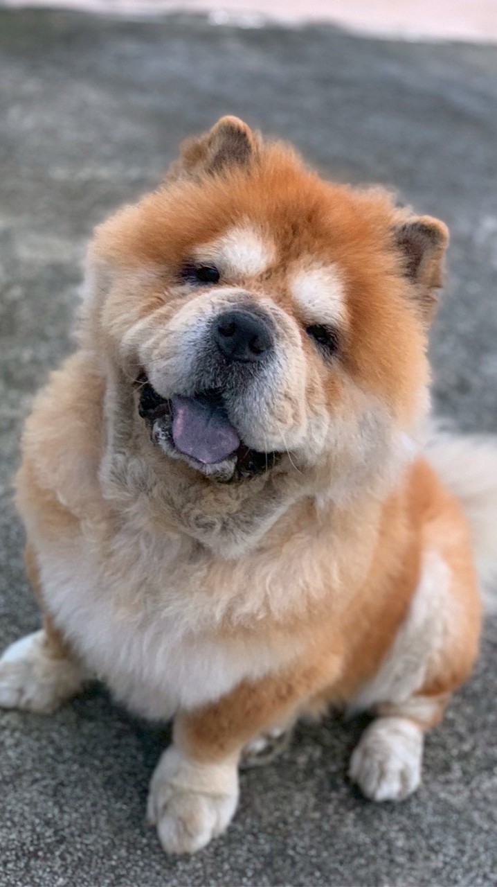 阿威代購