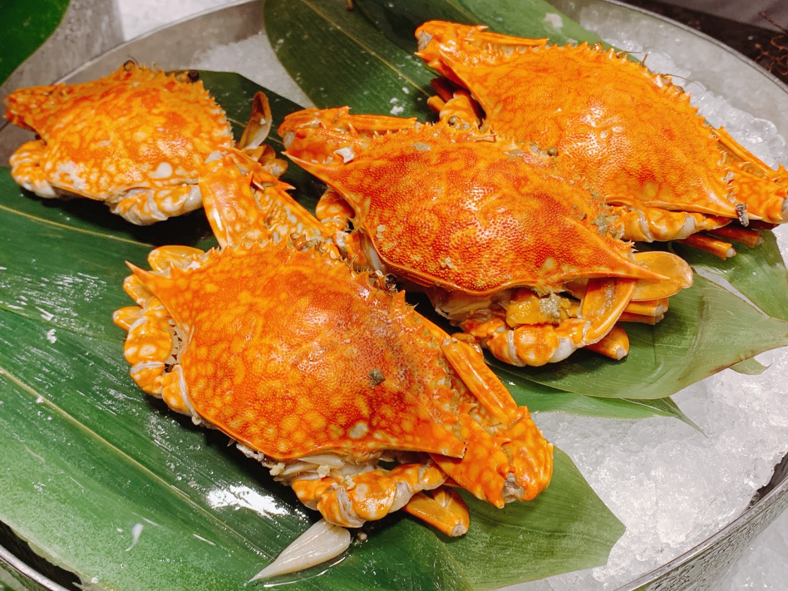 旭集和食集錦-遠百信義A13