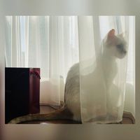永豐期貨 黃怡婷 ∞ Isabella 分享