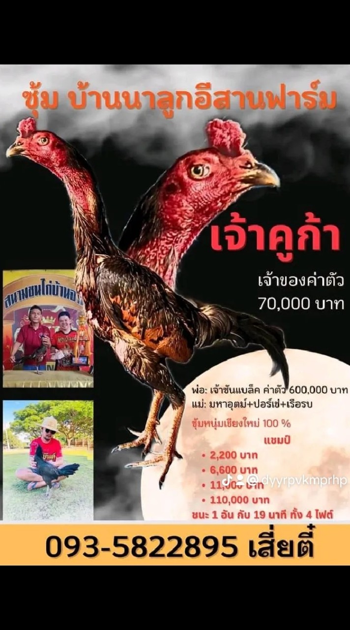 บ้านนาลูกอีสานฟาร์ม