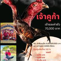 บ้านนาลูกอีสานฟาร์ม
