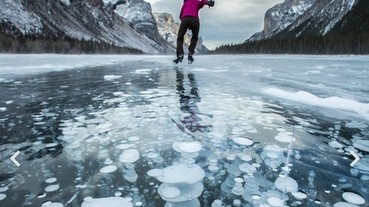 極地水母出沒？這個景觀背後的生成原因真是太神奇了！