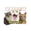 Unibuy 貓奴代購記