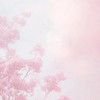 ジャニオタｻﾝ達話そー🎀🎵