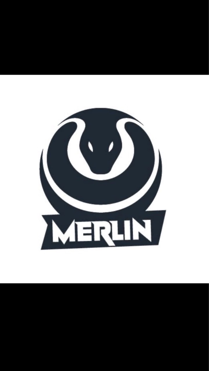 Merlin BallPython