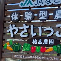 やさいっこ村