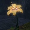 海外作品限定全緩ハント