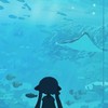スプラしてる人遊ぼうよ！