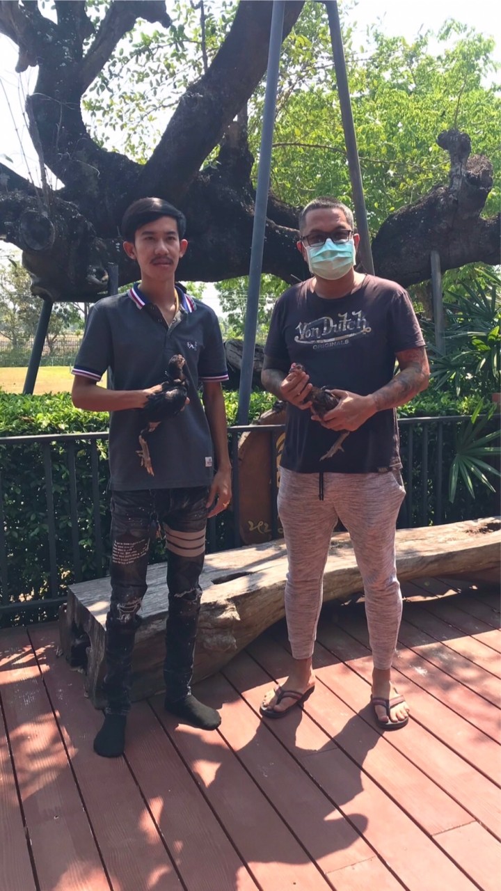 ซุ้มเต็งหนึ่ง จ.ลพบุรี