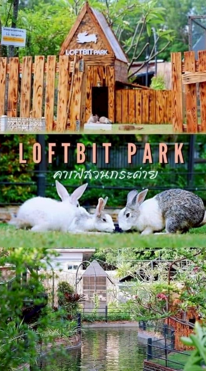 Loftbit Park