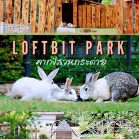 Loftbit Park