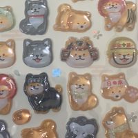 シール情報　北海道　札幌　小樽　江別　岩見沢　旭川　札幌近郊
