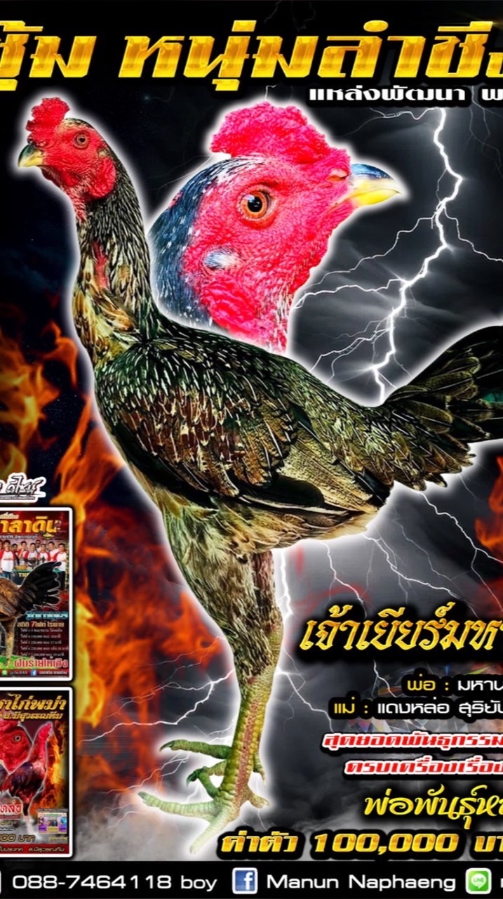 หนุ่มลำชี ฟาร์ม