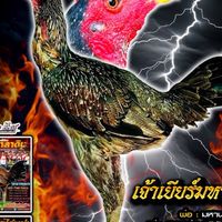 หนุ่มลำชี ฟาร์ม
