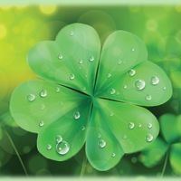 永豐期貨佳靜～資訊分享好運團🍀