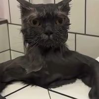 喧嘩、なんでもあり、泣くなよ？🫵😁って感じのオープンチャット
