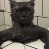 喧嘩、なんでもあり、泣くなよ？🫵😁って感じのオープンチャット