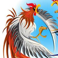 ซื้อขายไก่ชนทั่วประเทศ