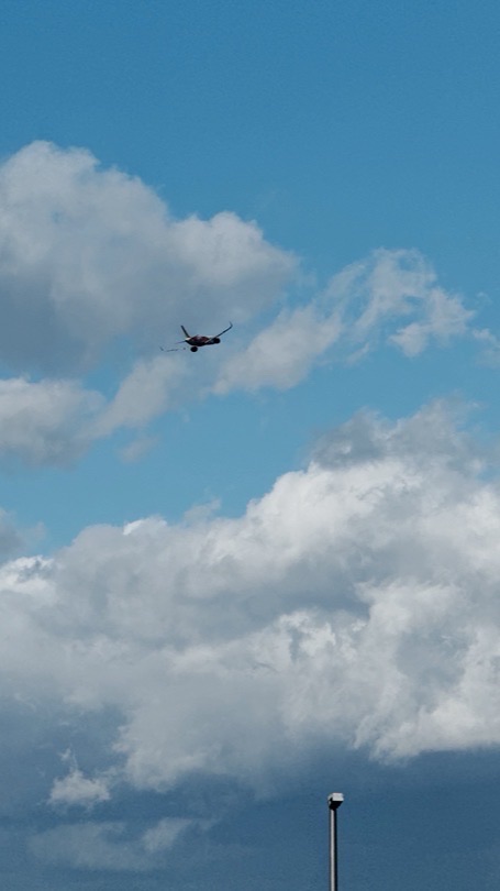 四年級線上解惑區