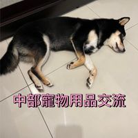 狗貓寵物食品用品二手