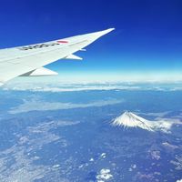 LuLu帶你輕鬆飛✈️說走就走一起去旅遊🫰🏻