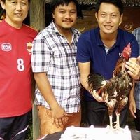 ซุ้ม ช.โชคลลิล (ต้อง3พญา)