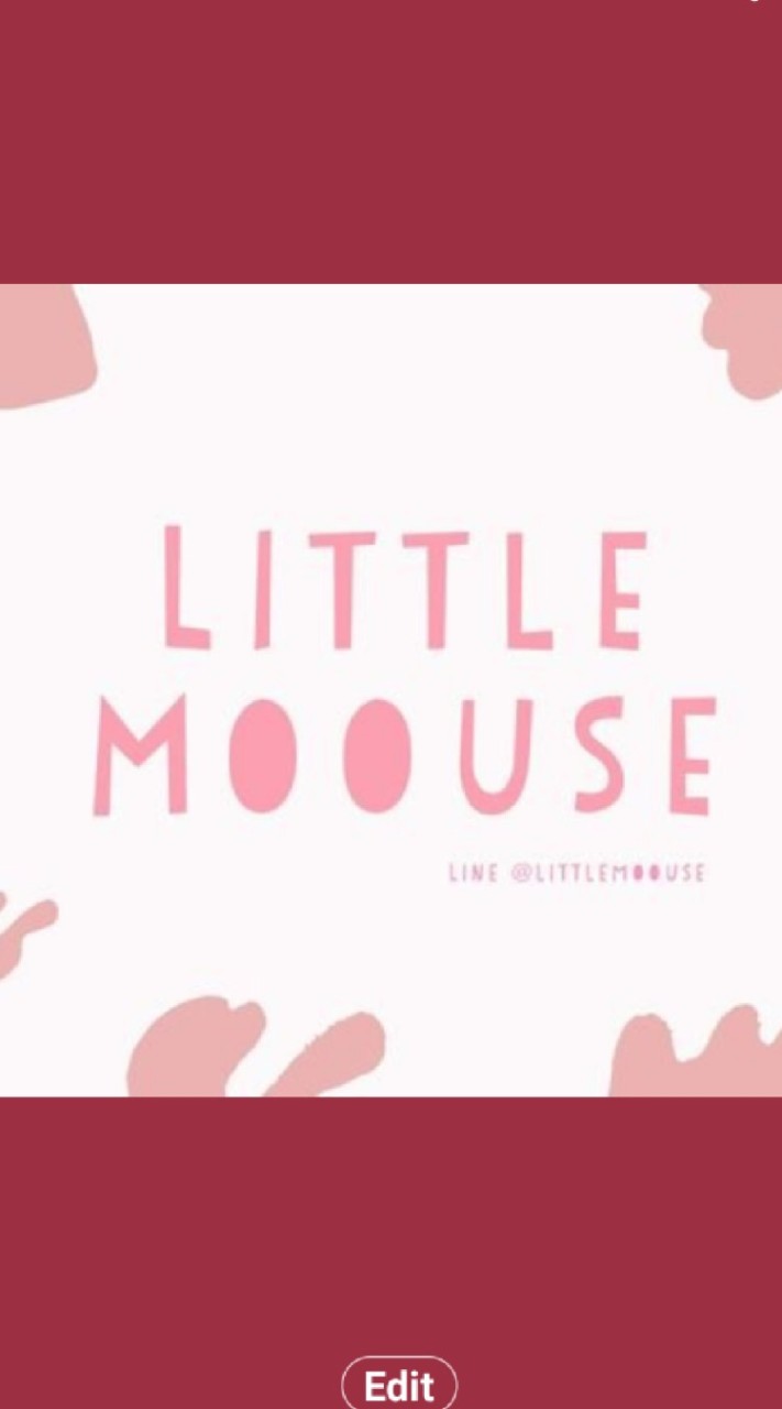 Brandname LittleMoouse USA