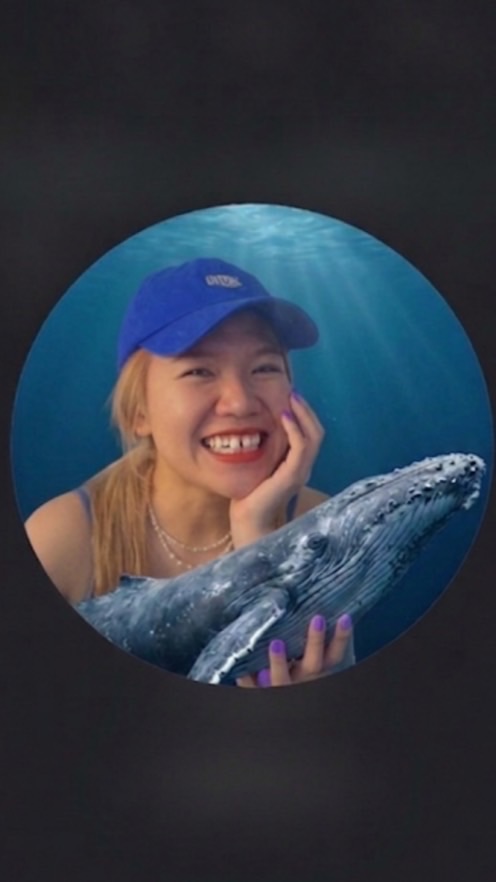 ด้อมเติ๋ง