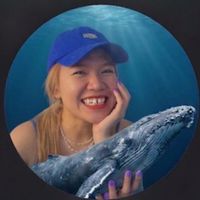 ด้อมเติ๋ง
