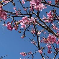 出國旅遊特惠促銷出清情報社