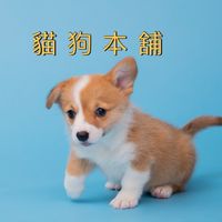 貓狗本舖