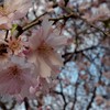 精神疾患でも友達が欲しい！