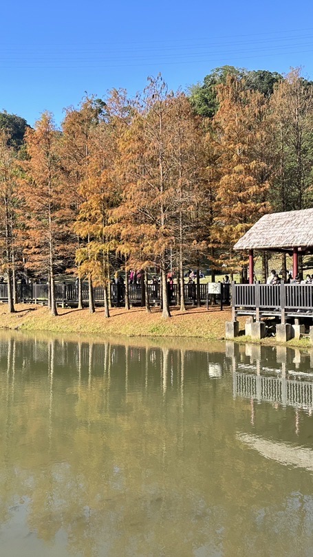 114碧湖三年級家長代