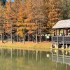 114碧湖三年級家長代