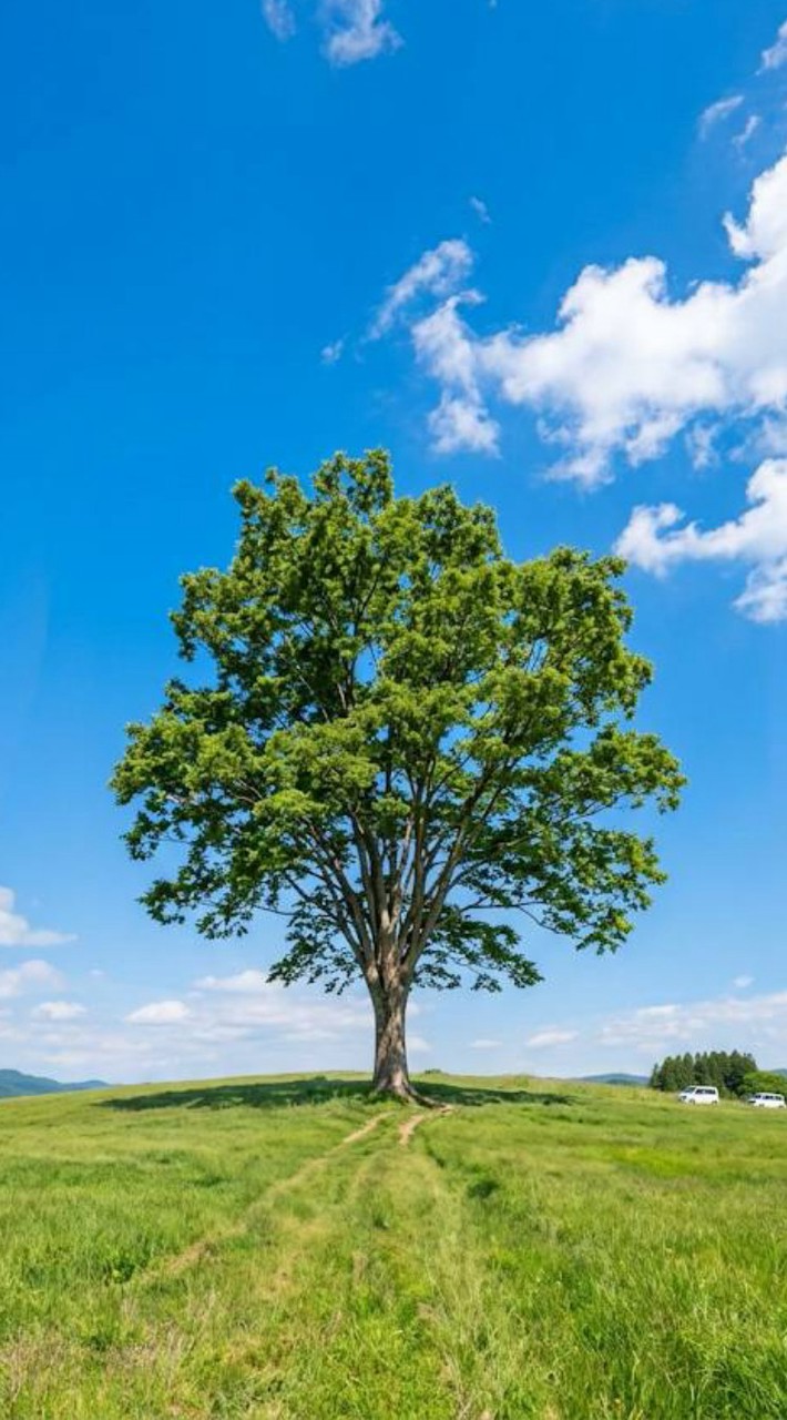 生きてて良かった🌳昭和世代🌞挨拶で生存確認✨
