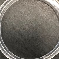 桃園觀音排球