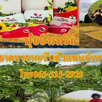 ปุ๋ยอินทรีย์แร่ธาตุหายาก/รับตัวแทนจำหน่าย/065-535-2925