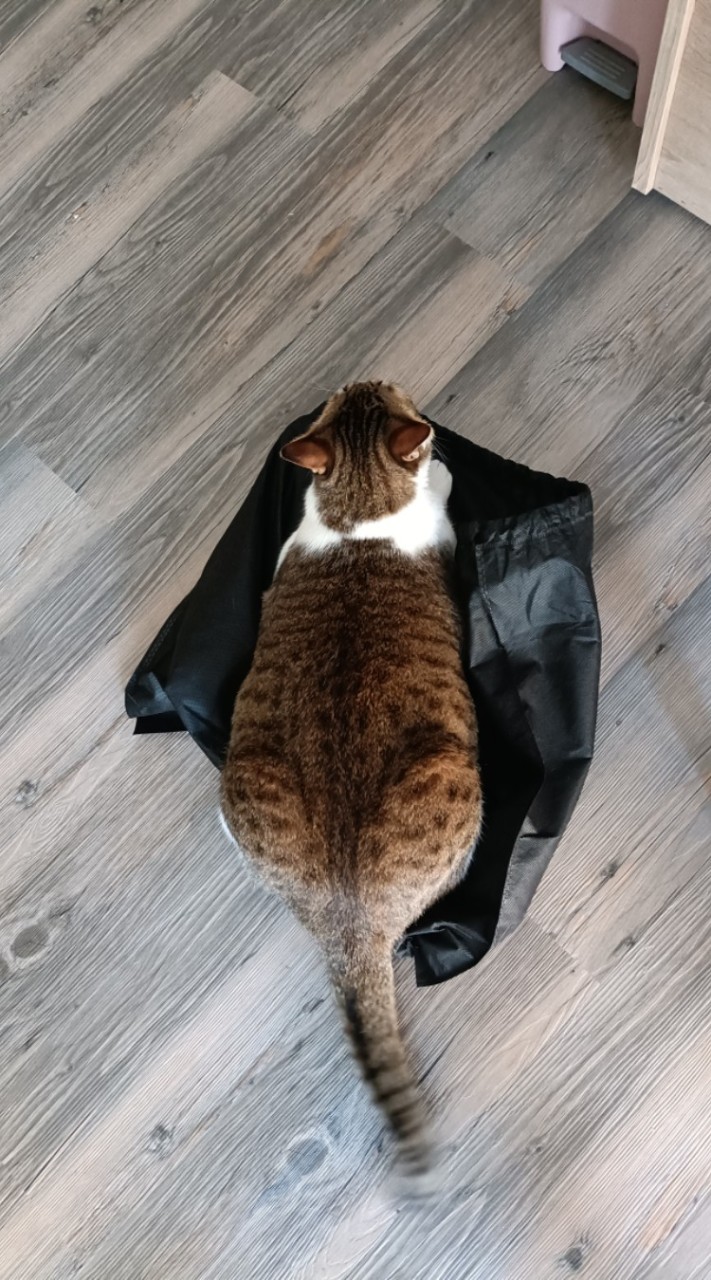 芽芽麻麻很愛買🛒揪免運🛍️找優惠💪