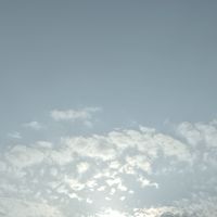 發洩群（糬糬心理醫院分部）