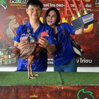 หำต่งทีม