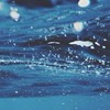 誰もが忘れた飴細工＊折セカ