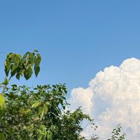 レズ・ゲイ・バイさんお話しませんか