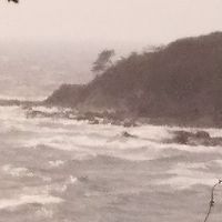 中学生・高校生の掃き溜めコーナー