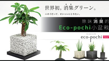 除味消臭的Eco-pochi小盆栽