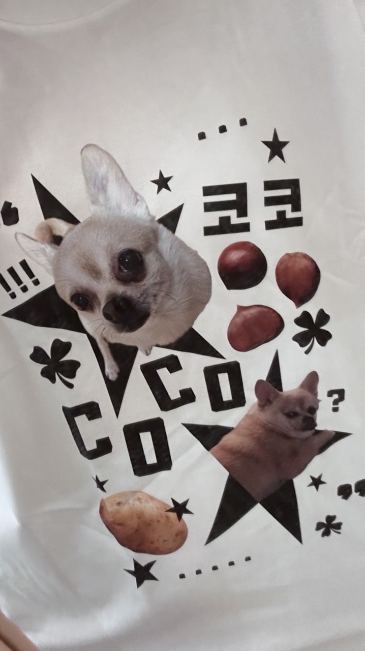 coco痛衣