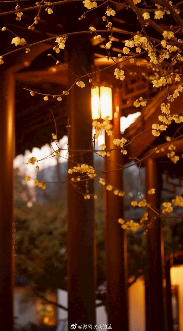 ֺ῾❈ ̘ ห้วงคำนึงพิชิตบัลลังก์ทรราชย์